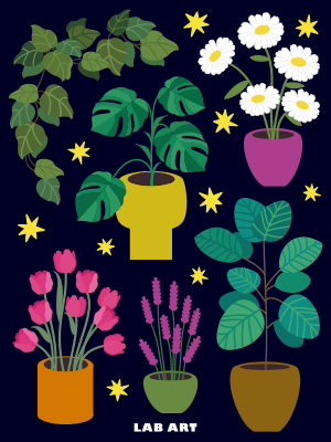 illustration plantes mignon